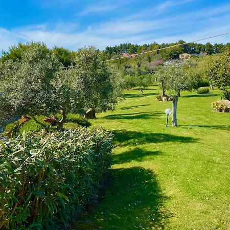Lorena * San Vincenzo